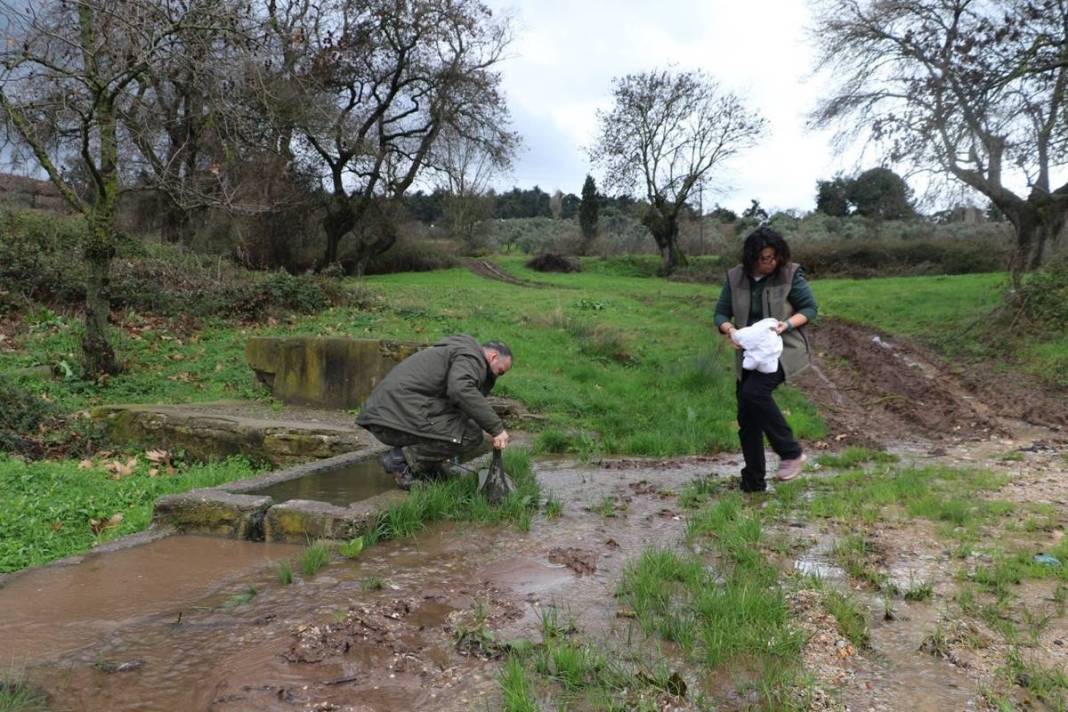 Yol kenarında tesadüfen bulundu: Zoologlar apar topar bu ilimize gitti! Meğer eskiden Kuzey Anadolu'da yaygınmış 5
